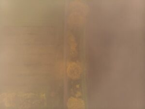 Menemukan Keberuntungan di dv188 Slot Gacor Hari Ini